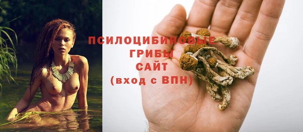 мяу мяу мука Великий Новгород