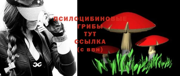 метадон Братск