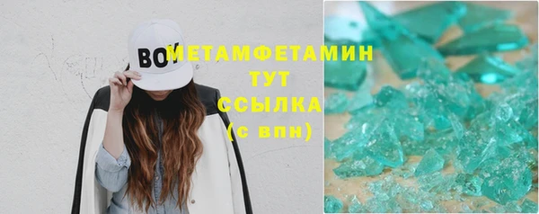 прущие грибы Медвежьегорск