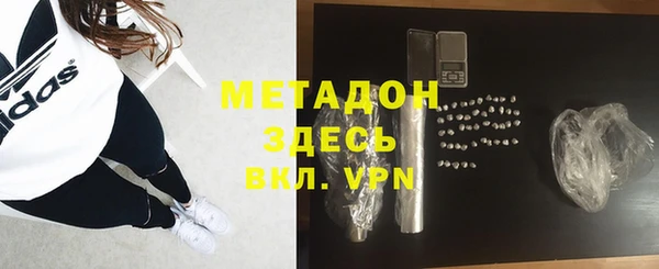 прущие грибы Медвежьегорск