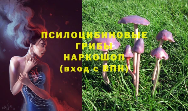ГАЛЛЮЦИНОГЕННЫЕ ГРИБЫ Мегион