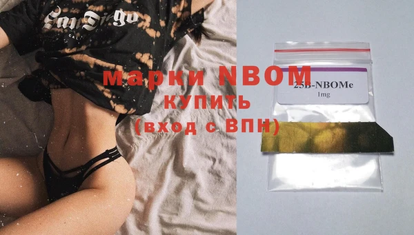 прущие грибы Медвежьегорск