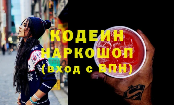 прущие грибы Медвежьегорск