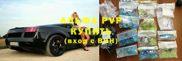прущие грибы Медвежьегорск