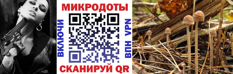 купить закладку  Устюжна  Галлюциногенные грибы мицелий 